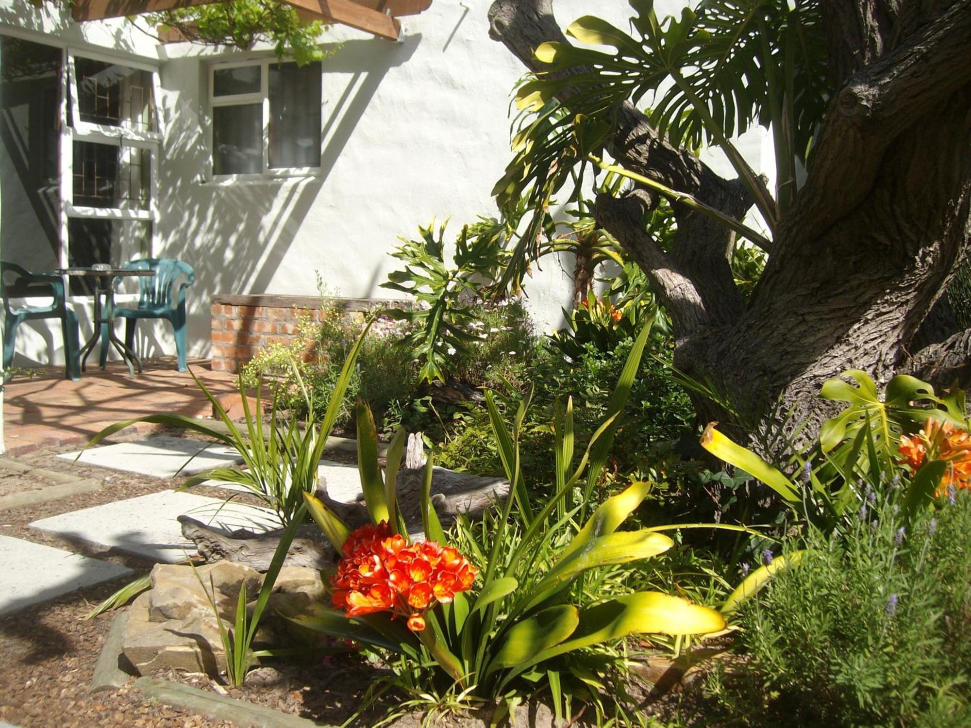 Be My Guest Lodge Bloubergstrand Rum bild