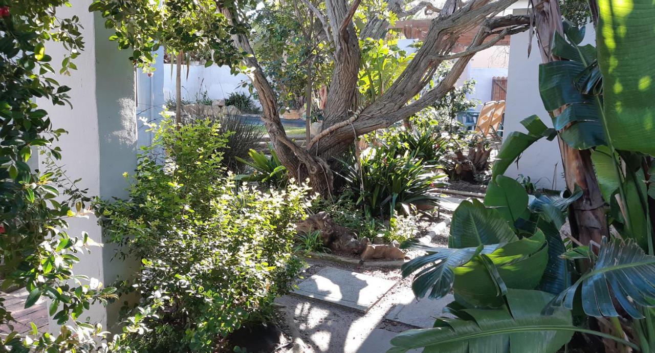 Be My Guest Lodge Bloubergstrand Exteriör bild