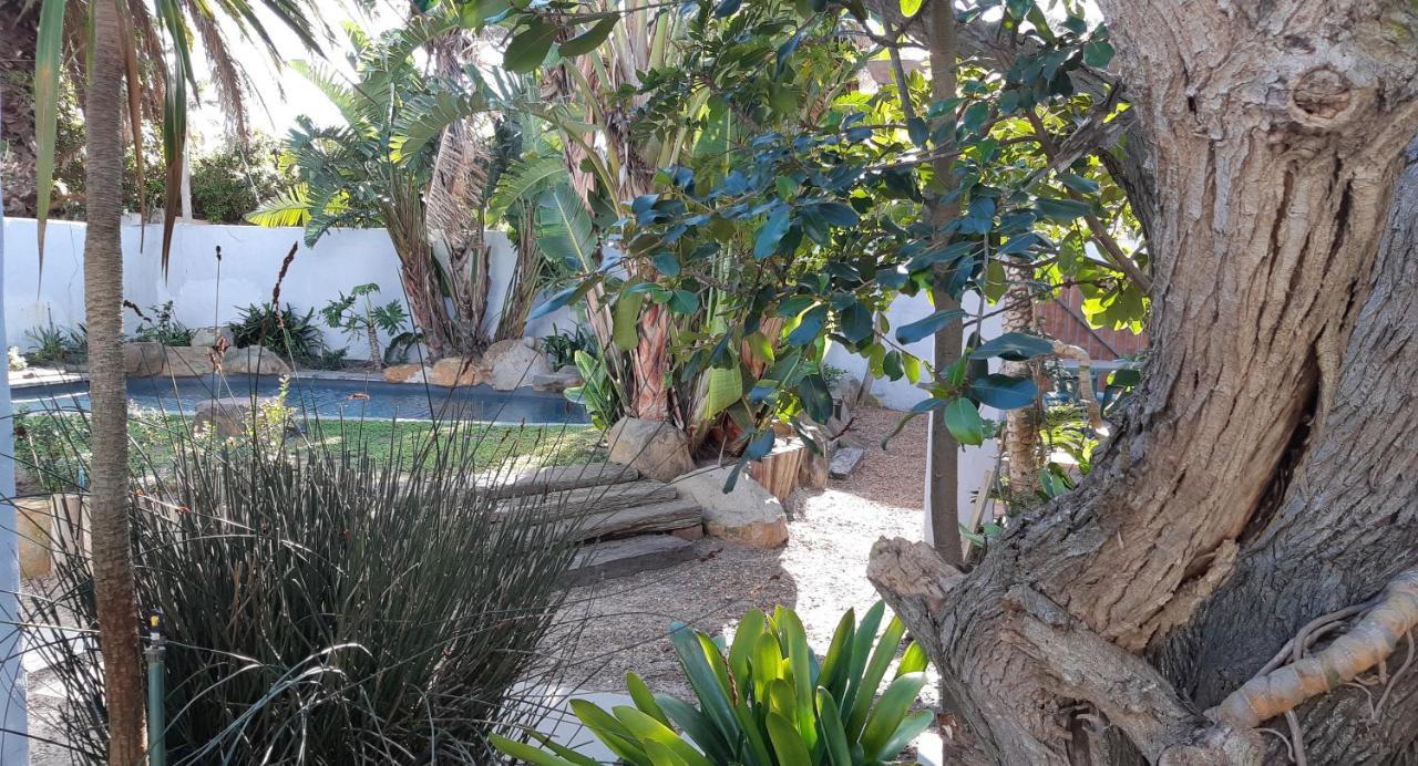 Be My Guest Lodge Bloubergstrand Exteriör bild